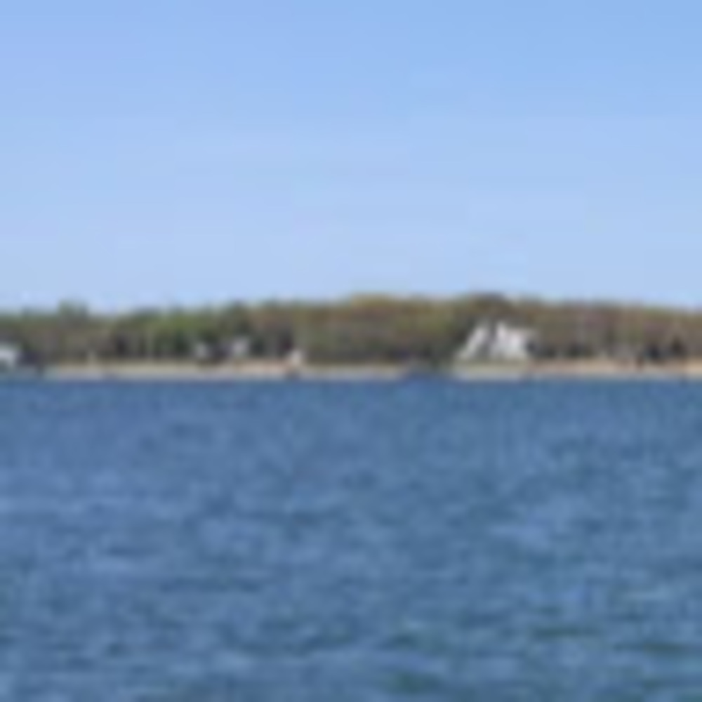 Meet your Posher, Elsie